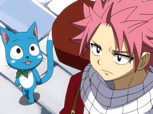 Fairy Tail | Anime Like Naruto | Animeking 