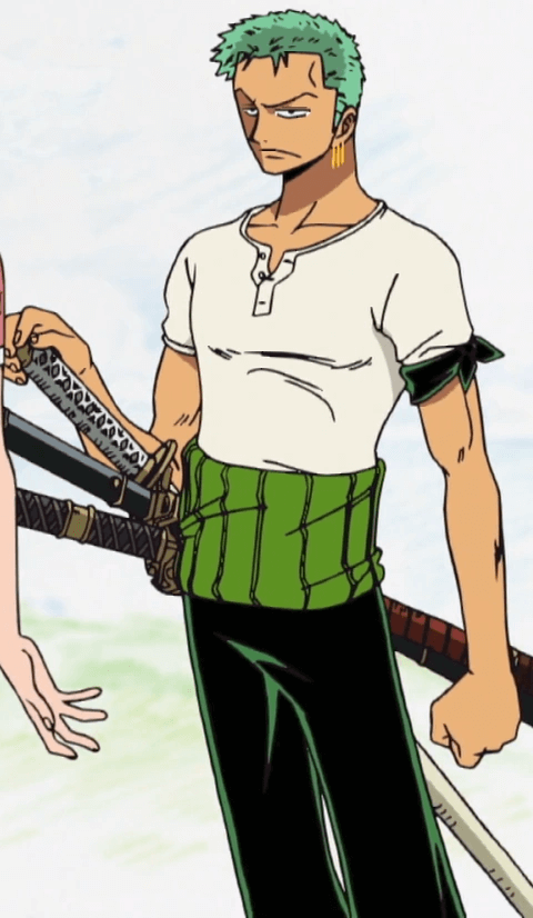 Roronoa Zoro | Animeking