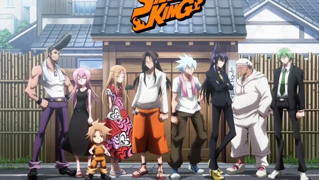 Top 15 Great Anime Like Bleach: Thousand-Year Blood War | Shaman King | Animeking