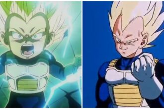 Vegeta from Dragon Ball