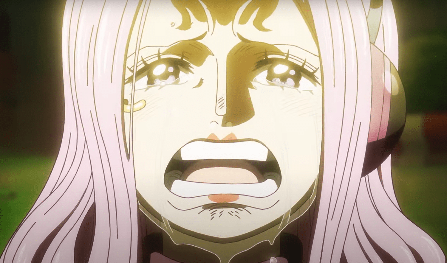 No One piece episode Next week!! One Piece Episode 1129 postponed to
